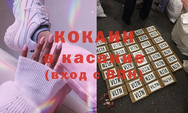 индика Армянск