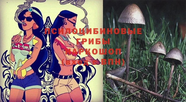 MDMA Premium VHQ Аркадак