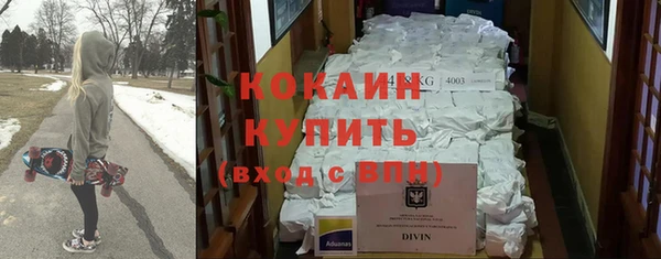 индика Армянск