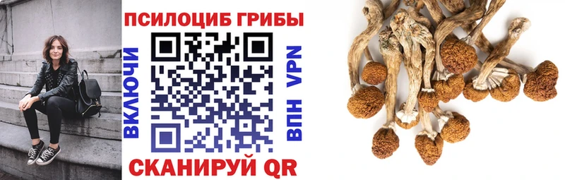 Галлюциногенные грибы мицелий  MEGA зеркало  Макаров 